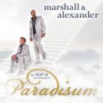 28-10-2010 - s2marketing - marshall+alexander - 02.jpg